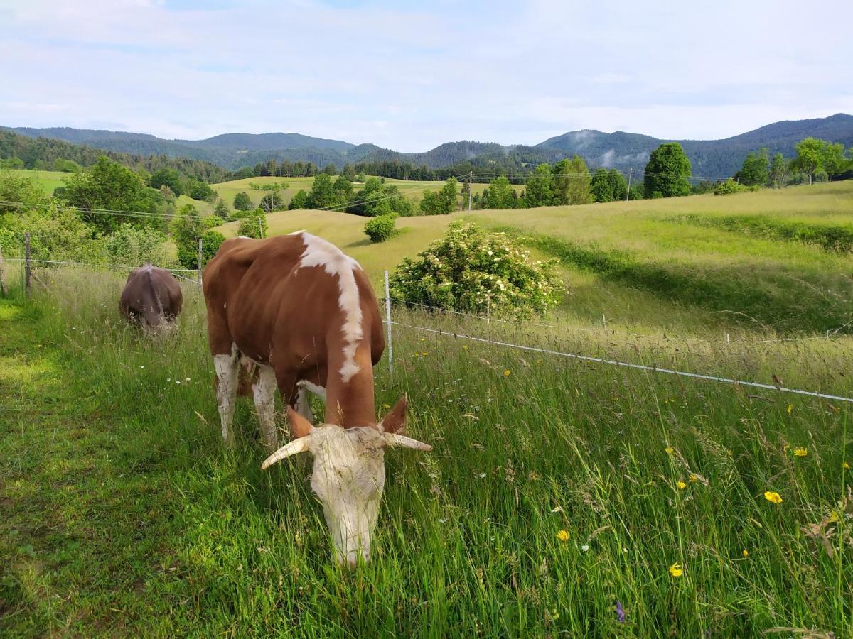 Tourist Farm Strle With Great Local Food Cerknica Exterior foto