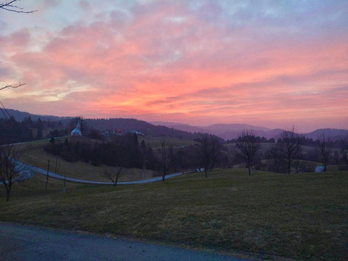 Tourist Farm Strle With Great Local Food Cerknica Exterior foto
