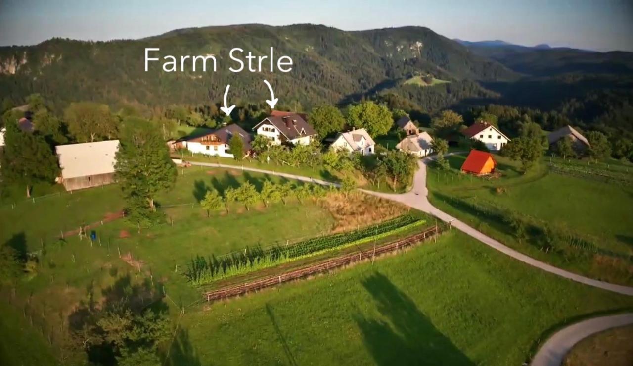 Tourist Farm Strle With Great Local Food Cerknica Exterior foto