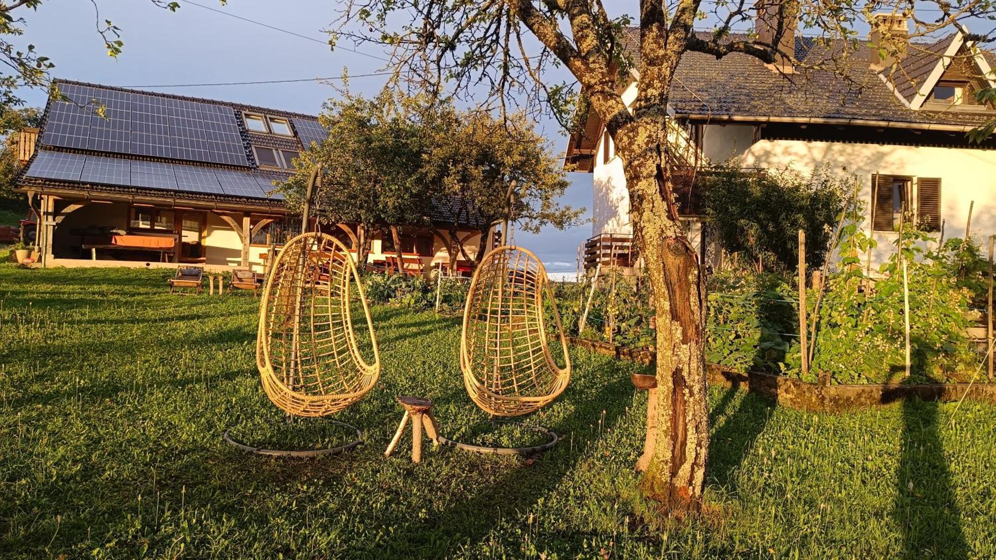 Tourist Farm Strle With Great Local Food Cerknica Exterior foto