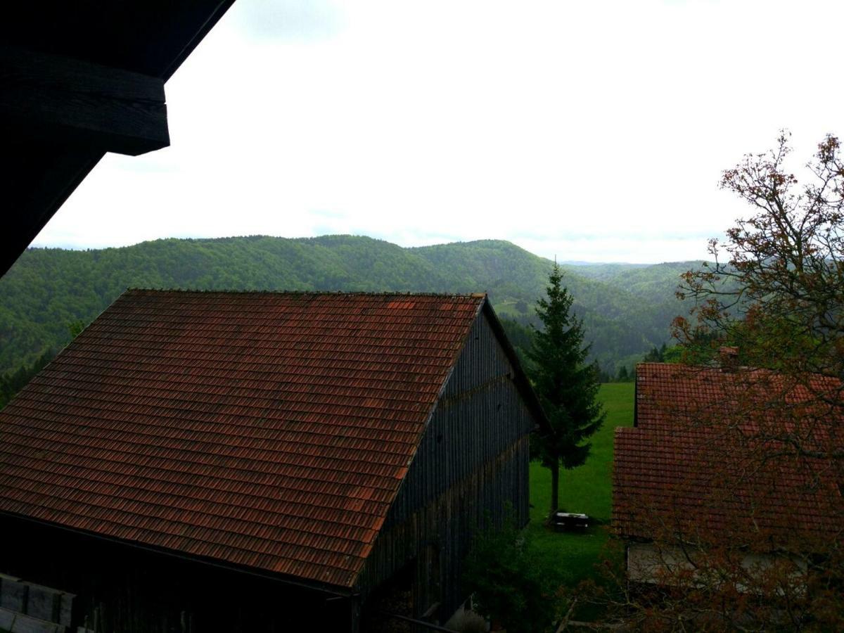Tourist Farm Strle With Great Local Food Cerknica Exterior foto