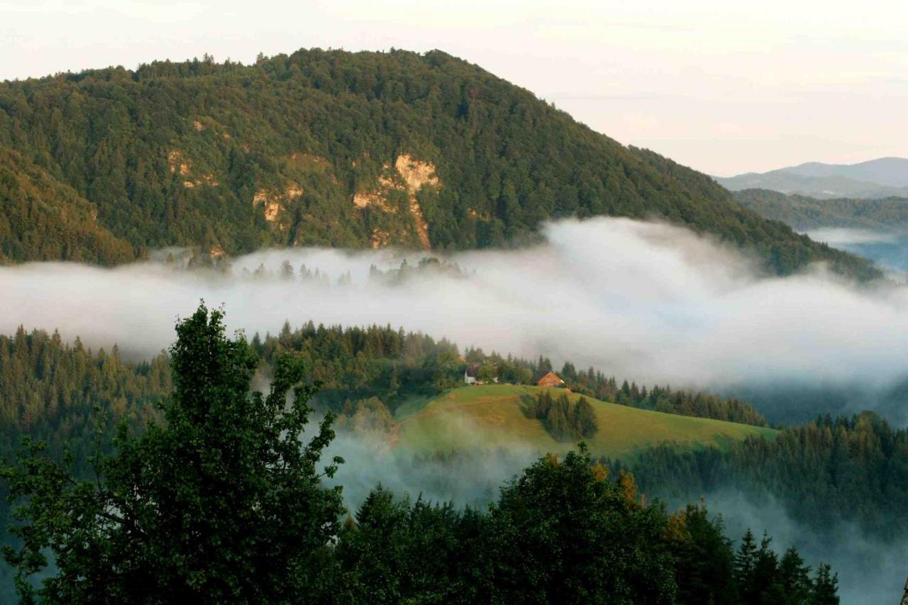 Tourist Farm Strle With Great Local Food Cerknica Exterior foto