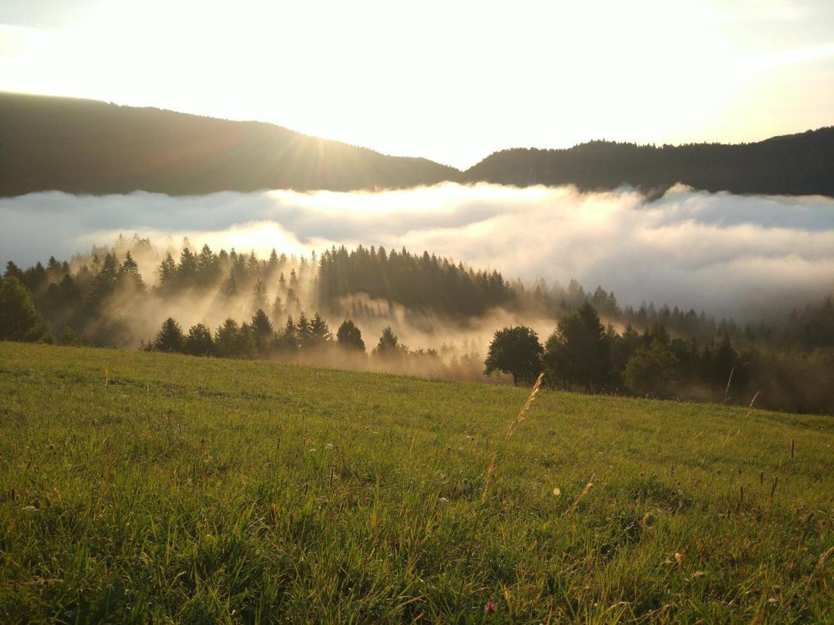 Tourist Farm Strle With Great Local Food Cerknica Exterior foto